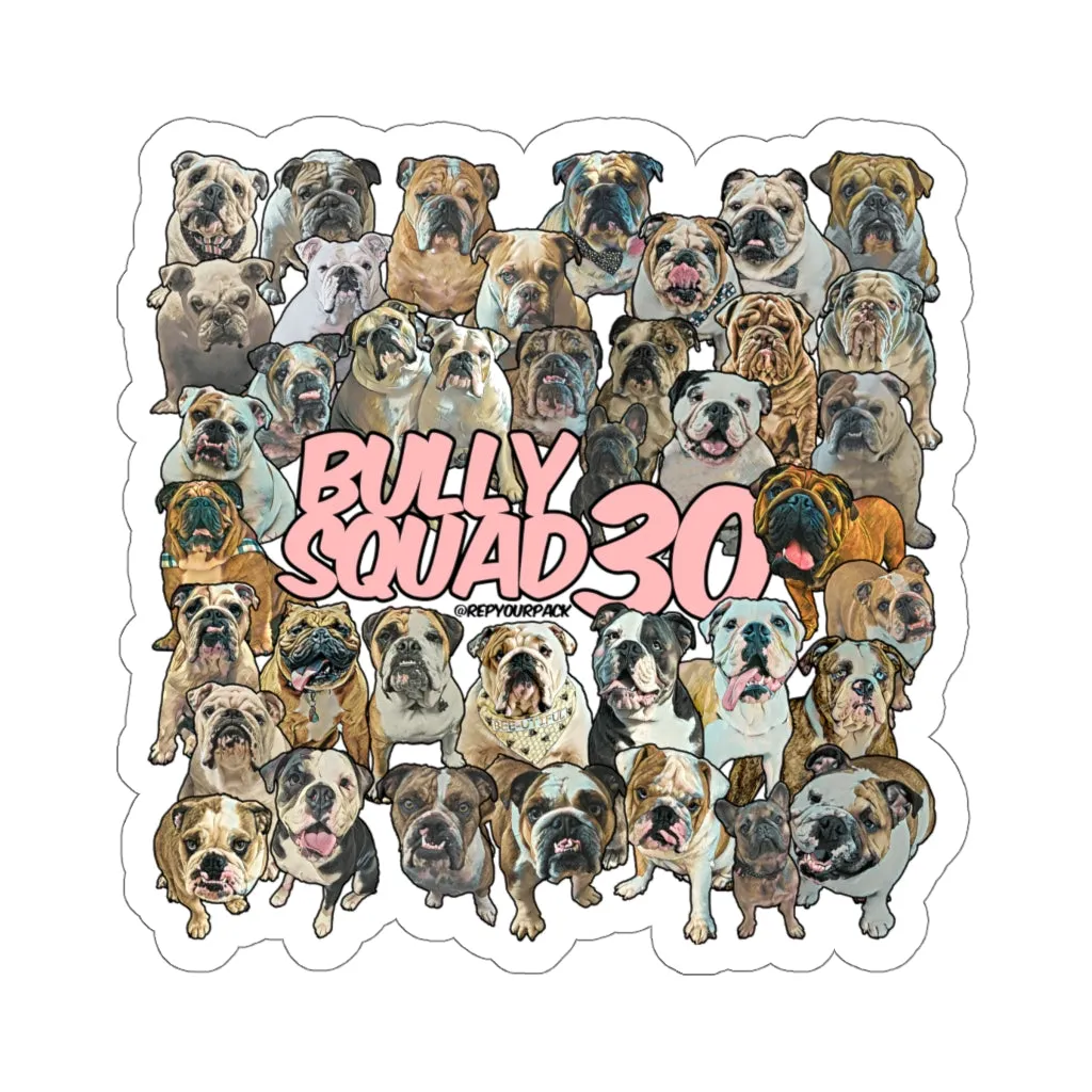 Bully Squad 30 Pink Sticker