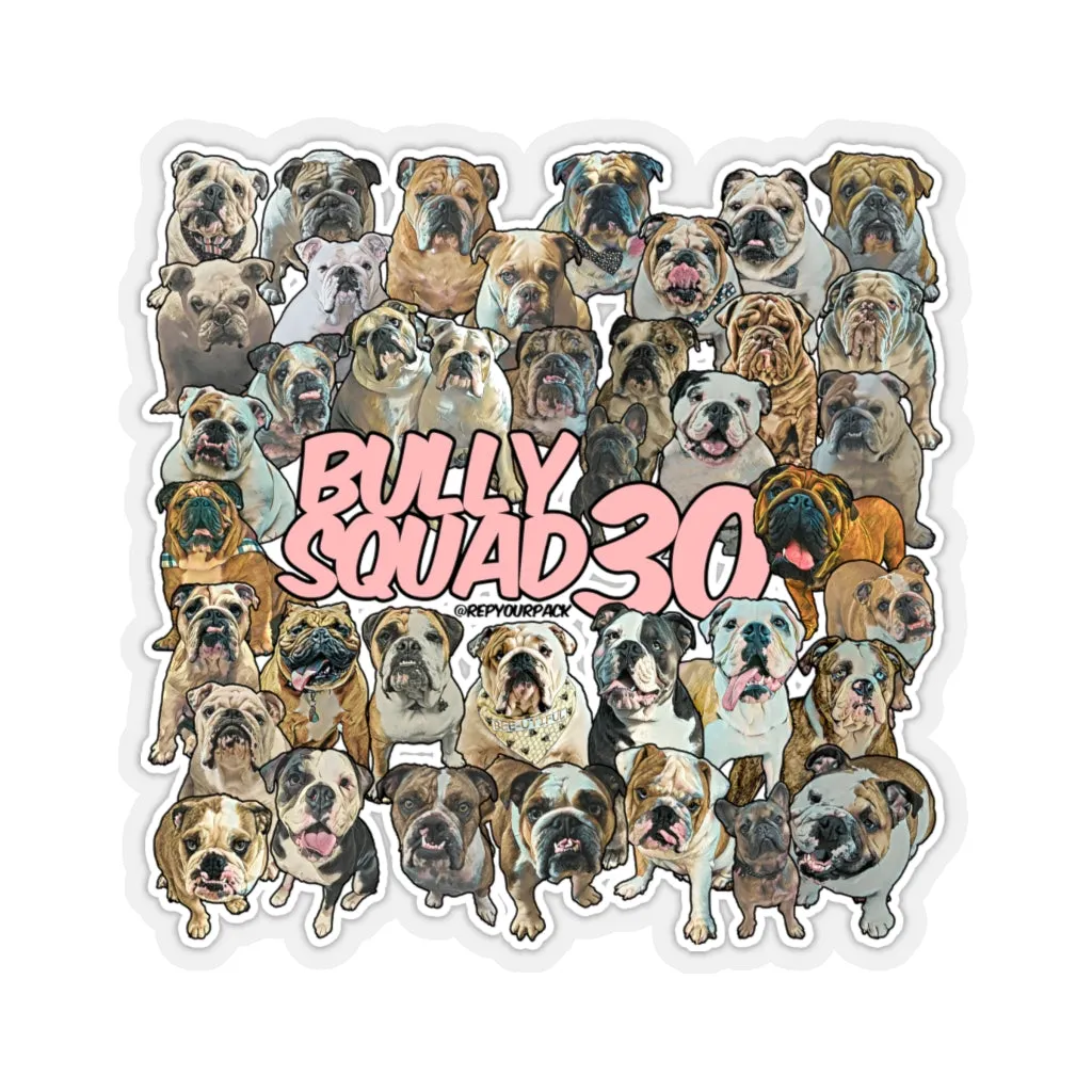 Bully Squad 30 Pink Sticker