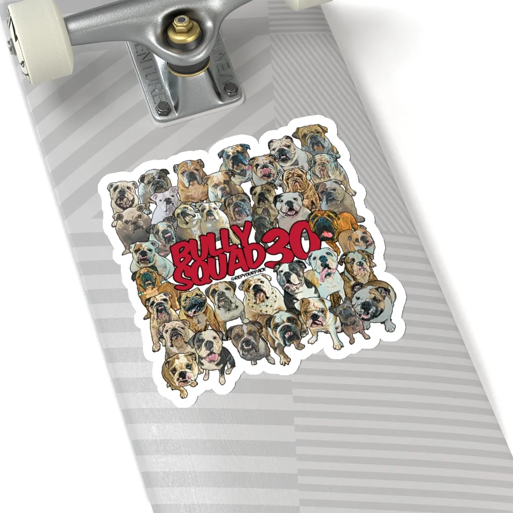 Bully Squad 30 RED Sticker