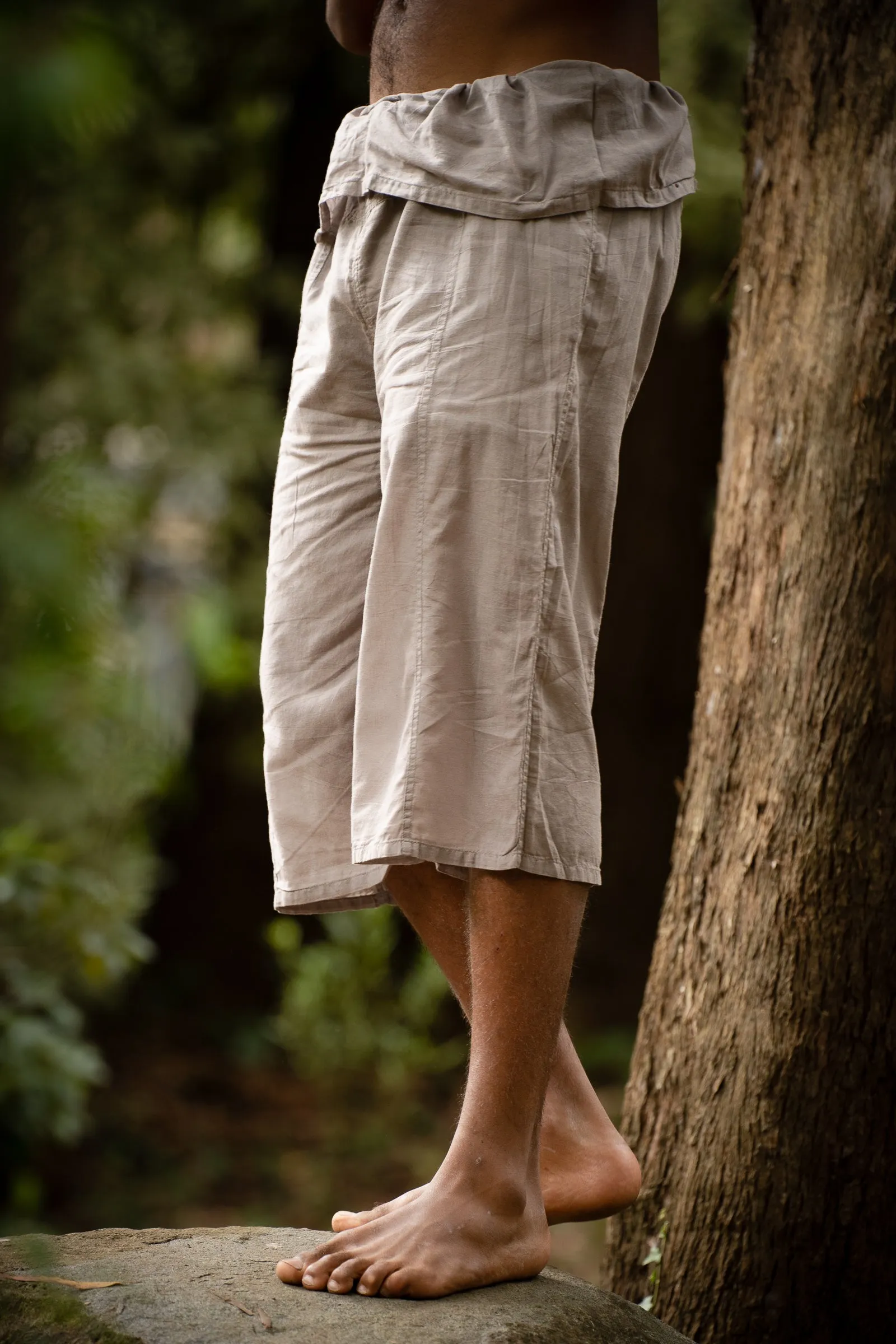 Coastal Shorts